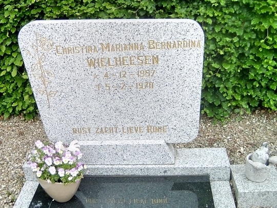 Graf Rinie